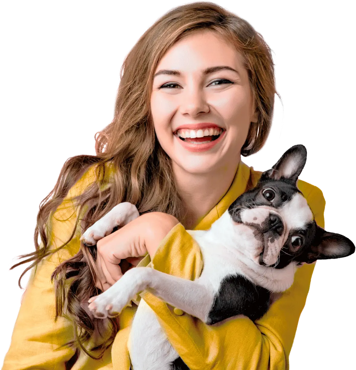 Clínica Veterinária Koyama