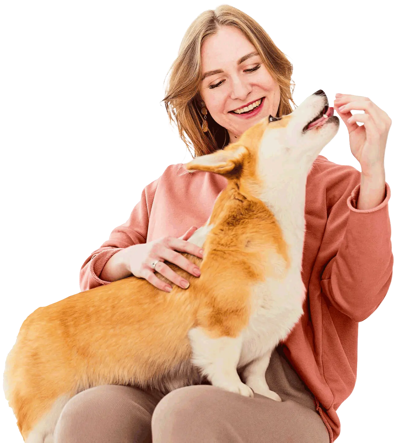 Clínica Veterinária Koyama